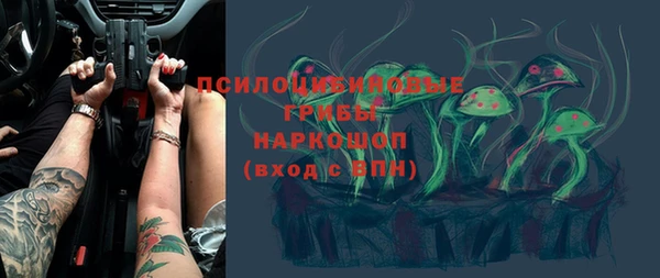 ешки Михайлов