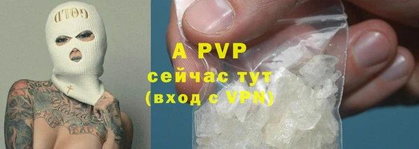 ECSTASY Михайловск