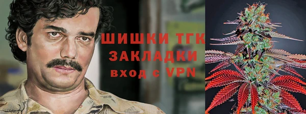 ECSTASY Михайловск