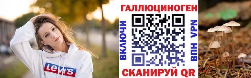 Псилоцибиновые грибы Psilocybe  Богучар 
